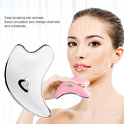 USB Charging Dolphin Face Massager